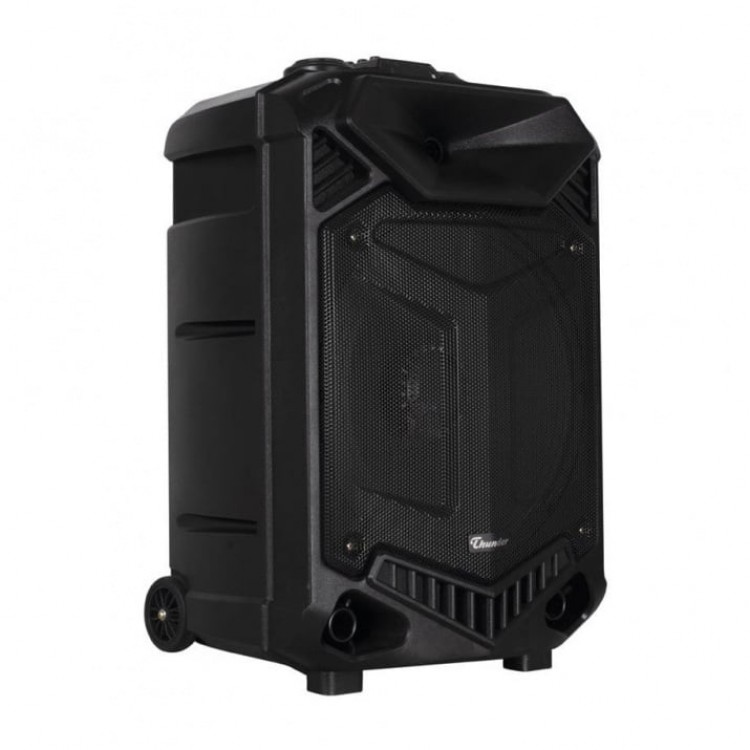 ТОНКОЛОНА 15" THUNDER NEW FM/SD/BLUETHOOT/USB КАРАОКЕ ТОНКОЛОНА 15" THUNDER NEW FM/SD/BLUETHOOT/USB КАРАОКЕ
