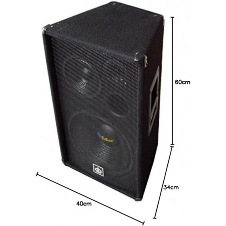 ТОНКОЛОНА ПРОФЕСИОНАЛНА 12" DBS Q1201