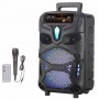 Караоке тонколона 8" NDR-P55 Караоке тонколона 8" NDR-P55