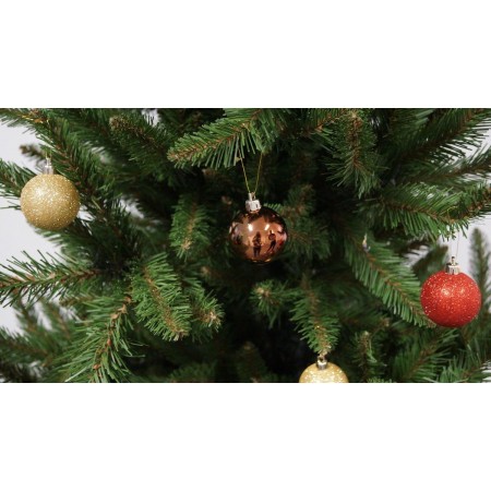 Коледна елха Alpina Див Смърч Коледна елха Alpina Див Смърч