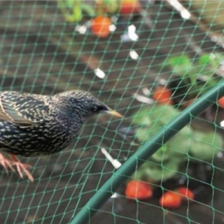 Мрежа срещу птици 20гм² - 5х100м