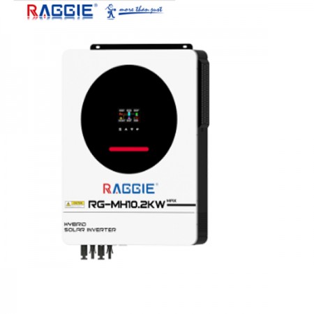 СОЛАРЕН ИНВЕРТОР RG-MH10200W 48V