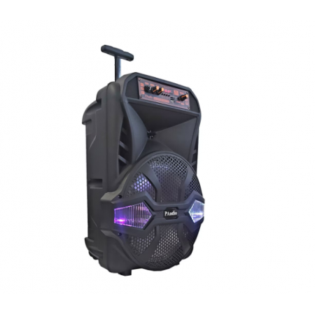 Караоке Тонколона 12 инча PAudio Караоке Тонколона 12 инча PAudio