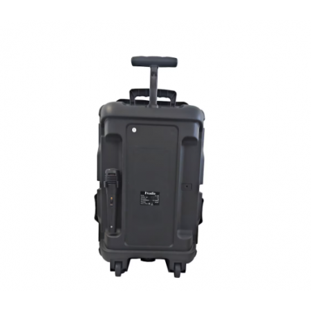 Караоке Тонколона 12 инча PAudio Караоке Тонколона 12 инча PAudio