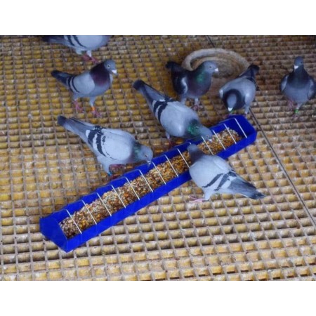 Хранилка за птици 100 см Хранилка за птици 100 см