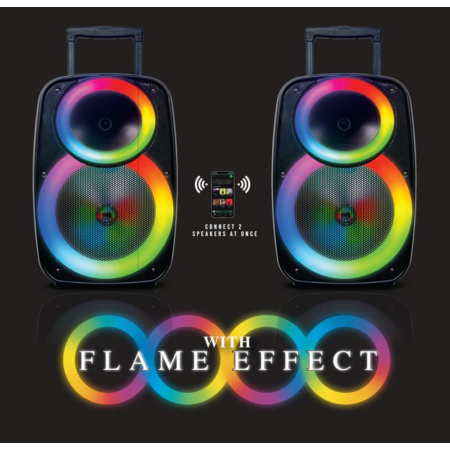 Безжична тонколона 12 QL-1225 с безжичен микрофон