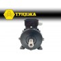 Електродвигател трифазен ТУНДЖА MS100L1-4 2.2kW 1430 оборота/минута Електродвигател трифазен ТУНДЖА MS100L1-4 2.2kW 1430 оборота/минута