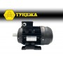 Електродвигател трифазен ТУНДЖА MS100L1-4 2.2kW 1430 оборота/минута Електродвигател трифазен ТУНДЖА MS100L1-4 2.2kW 1430 оборота/минута