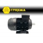 Електродвигател трифазен ТУНДЖА MS100L-2 3kW 2800 оборота/минута Електродвигател трифазен ТУНДЖА MS100L-2 3kW 2800 оборота/минута