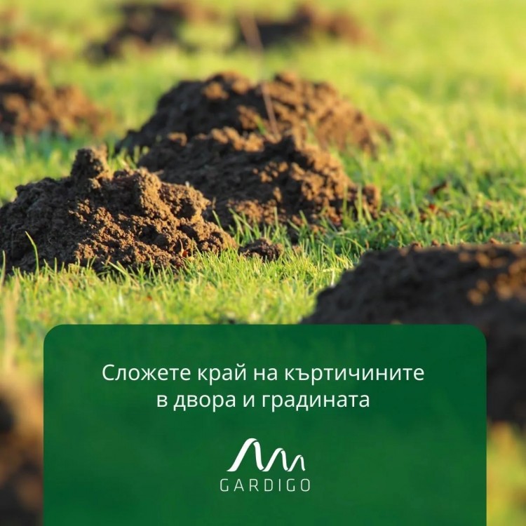 2 Броя Соларен уред против къртици, мравки и полевки Gardigo 2 Броя Соларен уред против къртици, мравки и полевки Gardigo
