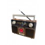 Преносимо соларно радио MD1306BTS