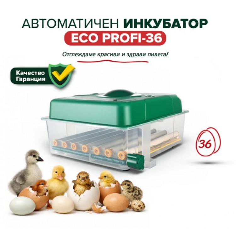 Автоматичен инкубатор ECO PROFI-36 яйца Автоматичен инкубатор ECO PROFI-36 яйца