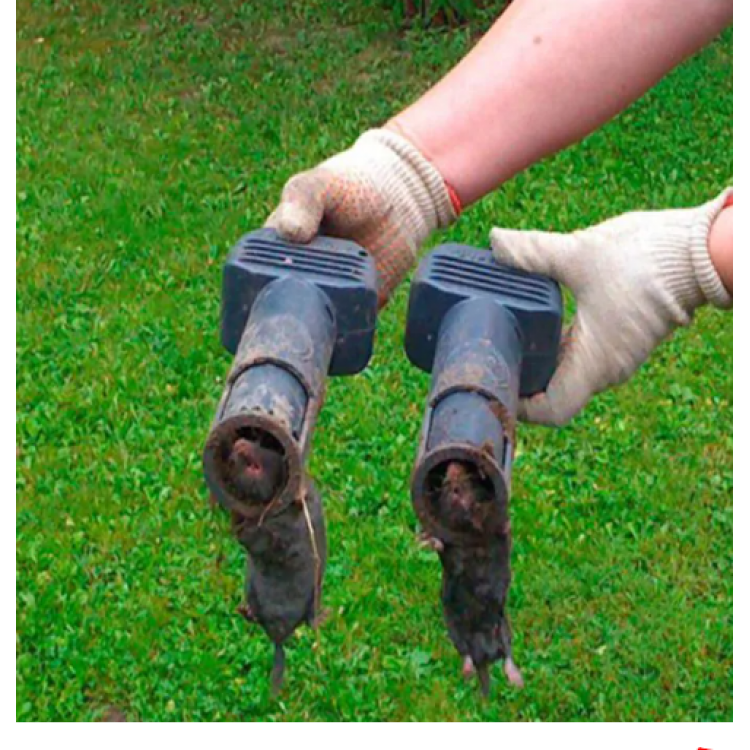 Капан за сляпо куче и къртици Swissinno Solutions Super Cat Капан за сляпо куче и къртици Swissinno Solutions Super Cat