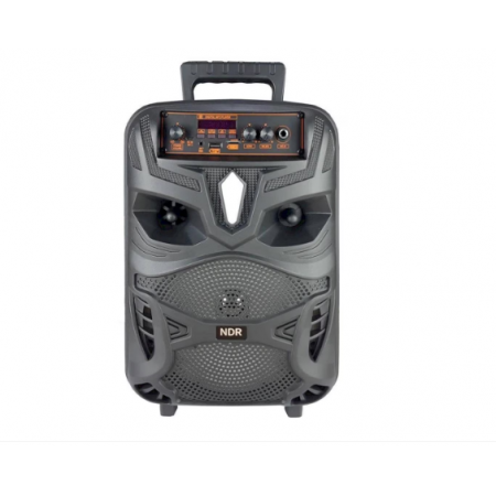 Караоке тонколона 8" NDR-P55