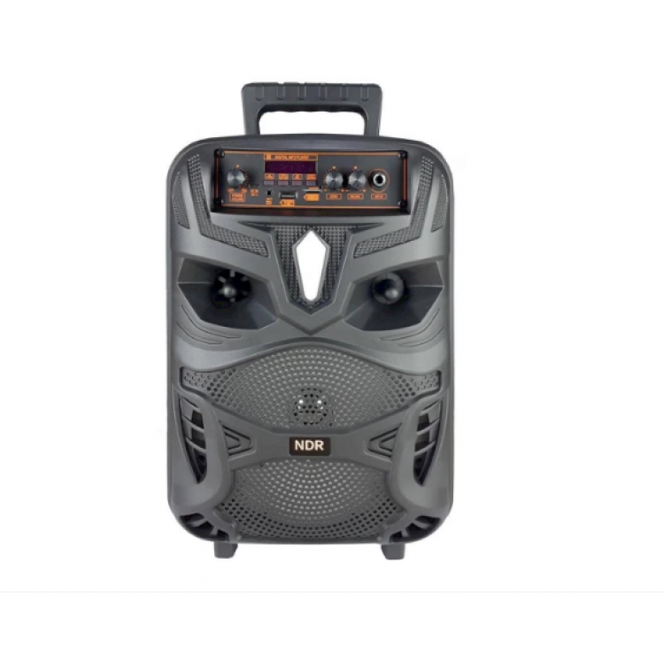 Караоке тонколона 8" NDR-P55